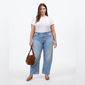 NWT Madewell The Darted Barrel-Leg Jean 18W